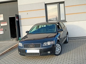 Audi A3 8P Hatchback 3d 1.6 102KM 2005 Audi A3 220tyś przebiegu, zdjęcie 1