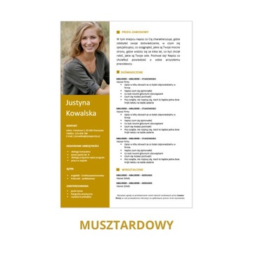 Редактируемый шаблон резюме в MS Word 1/22/CV