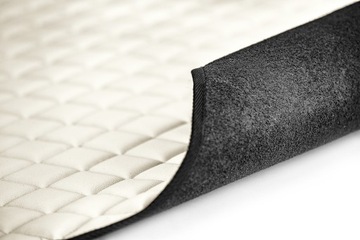 Коврики RENAULT MASTER III 10 - коврики для автобусов и фургонов reno