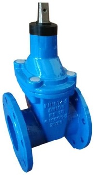 ZASUWA KOŁNIERZOWA F4 DN65 PN16 do wody