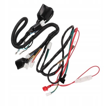 Главный жгут проводов мотоцикла