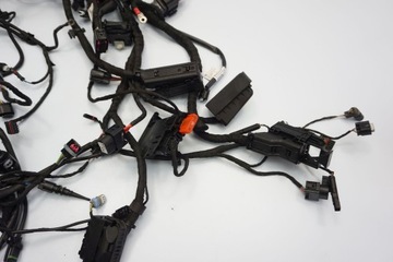 BMW F 850 ​​GS 18- УСТАНОВКА ГЛАВНОГО ЖГУТА ПРОВОДОВ