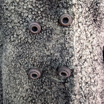 ВИНТАЖНЫЙ КАРАКУЛЯРНЫЙ МЕХ СЕРОГО ЦВЕТА