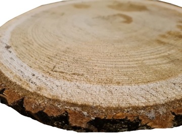 бруски дуба 30 см.