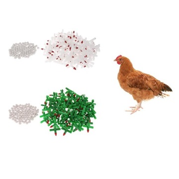 100 шт Курица в весенней поилке