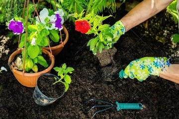 5x V2 САДОВЫЕ РАБОЧИЕ ПЕРЧАТКИ ЗАЩИТНЫЕ ЖЕНСКИЕ ПЕРЧАТКИ ЦВЕТ 5 пар МИКС