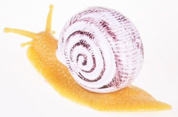 Резиновая улитка 12г