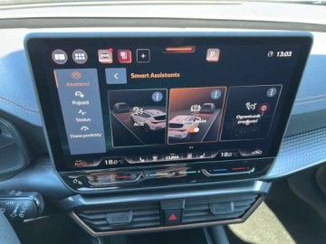 Cupra Formentor Crossover Facelifting 2.0 TDI 150KM 2026 Cupra Formentor 2.0 TDI 150 KM DSG, zdjęcie 22