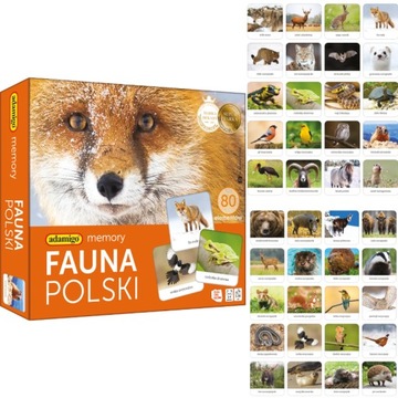 GRA EDUKACYJNA PRZYRODNICZA FAUNA POLSKI MEMORY DLA 5 LATKA, ADAMIGO
