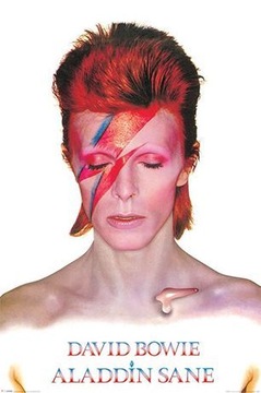 DAVID BOWIE plakat 61x91cm