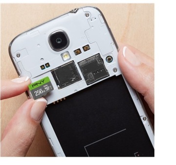 Карта памяти PNY MicroSDXC Elite 256 ГБ P