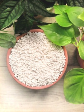 Podłoże ziemia bigos do monster filodendronów syngoniów super zestaw 5L