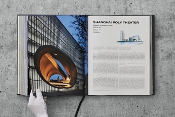 Большая книга груди