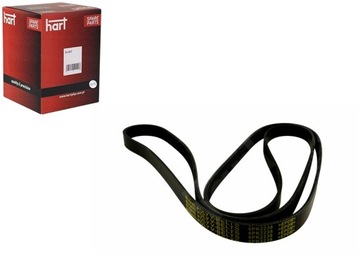PASEK KLINOWY 6PK 2238 HART