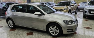 Volkswagen Golf VII Hatchback 3d 1.6 TDI-CR DPF 105KM 2013 Volkswagen Golf Golf 7 4x4 tylko 176 tys.przebiegu 1.6 Diesel 105KM, zdjęcie 2