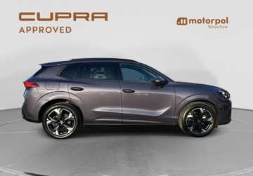 Cupra Terramar SUV 1.5 eTSI 150KM 2025 Cupra Terramar Pakiety, SENNHEISER, Sportowe fotele, ACC, Panorama, Bezwy, zdjęcie 16