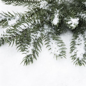 Искусственный рыхлый снег Декоративный на Рождество для украшения Fine 105г