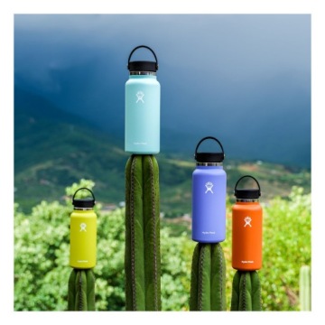 HYDRO FLASK Бутылка WIDE FLEX CAP 946 мл для росы