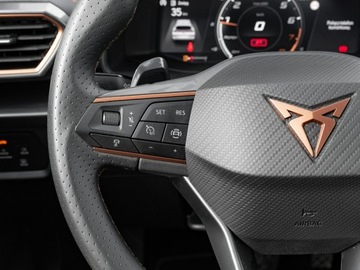 Cupra Formentor Crossover 2.0 TSI 190KM 2023 Cupra Formentor WD6762R#2.0 TSI 4Drive DSG, zdjęcie 14