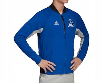 Kurtka męska Adidas