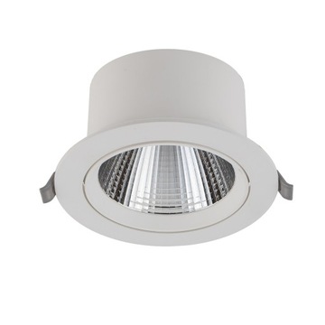 Nowodvorski Lighting Downlight nastawny EGINA LED