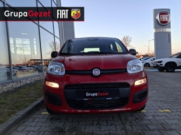 Fiat Panda III 2025 Fiat Panda Pandina Icon 1.0 70 KM 5-miejscowa, zdjęcie 1