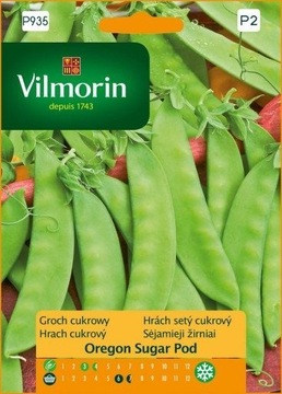 Groszek cukrowy Oregon Sugar Pod 40g nasiona warzyw