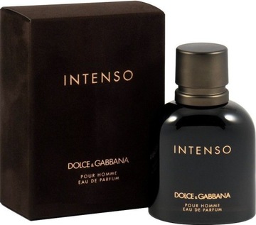 Dolce & Gabbana INTENSO POUR HOMME edp 40 ml