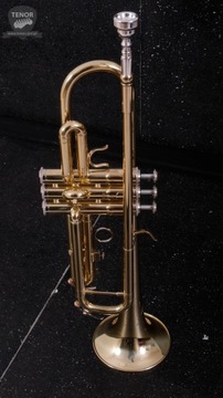 J.MICHAEL TR-200Z Труба