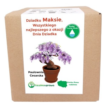 Zestaw BONSAI paulownia Dzień Dziadka Maks