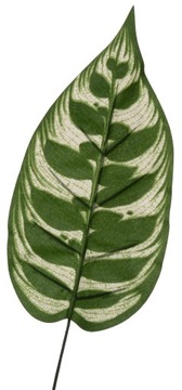 12 X ЛИСТЬЕВ Веточка ДЛЯ КОМПОЗИЦИИ 48 СМ