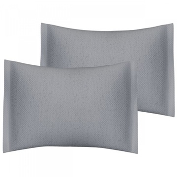 Поглотитель влаги, автомобильный осушитель воздуха без запаха, 2x 250 г