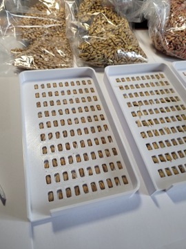 МТЗ Лотки для учета зерна пшеницы, овса, ржи, ячменя