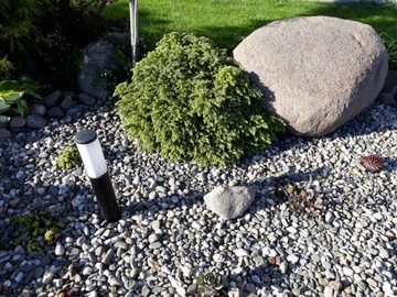 ŻWIR rzeczny WORKI 25 KG MIX biały brązowy 1 TONA