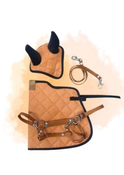 Novinka Sada pro hobby horse A3