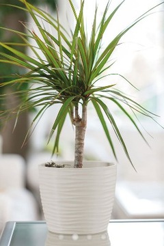 ЦВЕТОЧНЫЙ ГОРШОК SAHARA PETIT 3D НА ПОДСТАВКЕ 17 СМ, ЧЕРНЫЙ