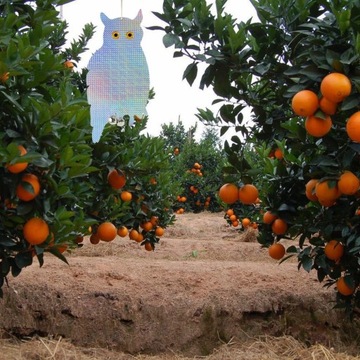 ОТПУСКАТЕЛЬ ДЛЯ ГОЛУБЕЙ, СМОТРЯЩИХ, ПТИЦ, СВЕТООТРАЖАЮЩАЯ СОВА, сидение, ГОЛОГРАММА, КОЛОКОЛЬЧИКИ