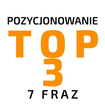ROCZNE POZYCJONOWANIE 7 fraz do TOP 3