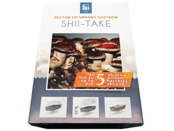 SHIITAKE zestaw z miniszklarenką 3l