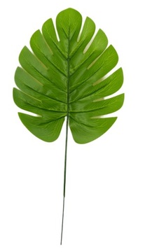 LIŚĆ POJEDYNCZY MONSTERA MONSTERY DO STROIKÓW KOMPOZYCJI WIEŃCY WIĄZANEK