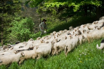 Шерстяное одеяло LARGE HEAT Woollen Tarpaulin AUSTRALIAN MERINOS ECRU 160x200