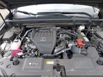 Lexus NX II 2024 Lexus NX 350 F Sport Handling 2024 2.4l 2.4 Benzyna 275KM, zdjęcie 8