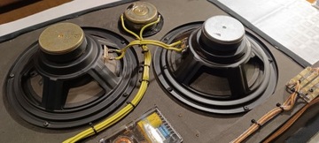 System tylnego nagłośnienia 2-kanałowy ,,CAR AUDIO,,
