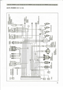 СИСТЕМЫ ВПРЫСКА БЕНЗИНА. IAW WEBER / SPI MARELLI / MIW WEBER / PGM HONDA