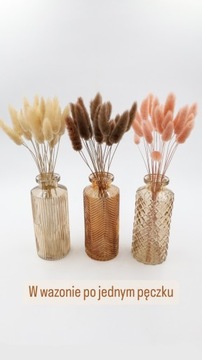 Lagurus NATURALNY BEŻOWY 20-25 sztuk, dmuszek jajowaty, suszone kwiaty