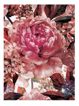 Fototapeta PEONIE KWIATY PIWONIE SALON HD 184x254