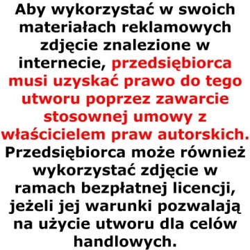 Napinacz Rolka Naciąg Łańcucha Napęd Atv Quad Kxd Bombardier 70 110 125