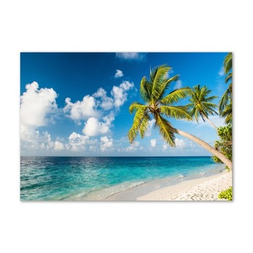 Foto obraz szkło hartowane Malediwy plaża 100x70