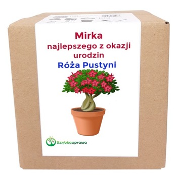 Ekologiczny prezent zestaw róża urodziny Mirka