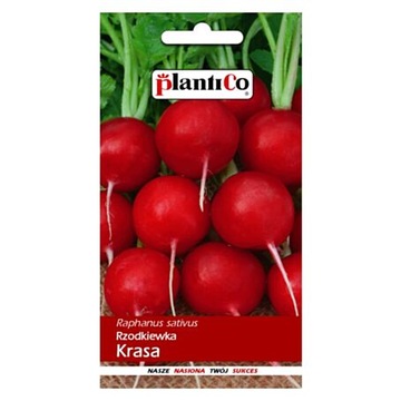 Rzodkiewka Krasa 10g (PC)